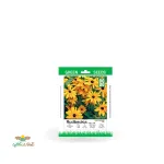 بذر خانگی گل کوکب کوهی سینا 0
