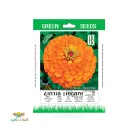 بذر خانگی گل آهار نارنجی سینا 0