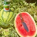 بذر هندوانه فضای باز آلفا دراگون 3