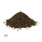 بذر چغندر لبویی 0
