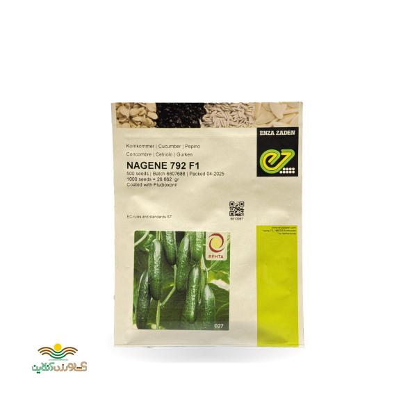 بذر خیار گلخانه ای میان گل ناگین 500 عددی