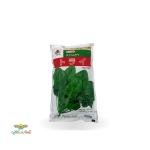 بذر اسفناج هیبرید داش تاکی 500 گرمی ژاپن 0