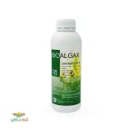 جلبک بیوآلجاکس کیمیتک همیار دشت یک لیتری 0