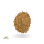 بذر بادمجان 500 گرمی 0