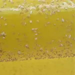 رول زرد 30 سانتی رها اندیش کاوان 2