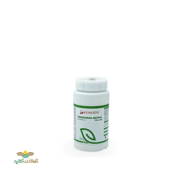 گران استار چین زرین سرشت