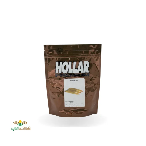 بذر کدو خورشتی کاملیا هولار 1000 عددی