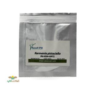 فرومون چوبخوار پسته 5 عددی
