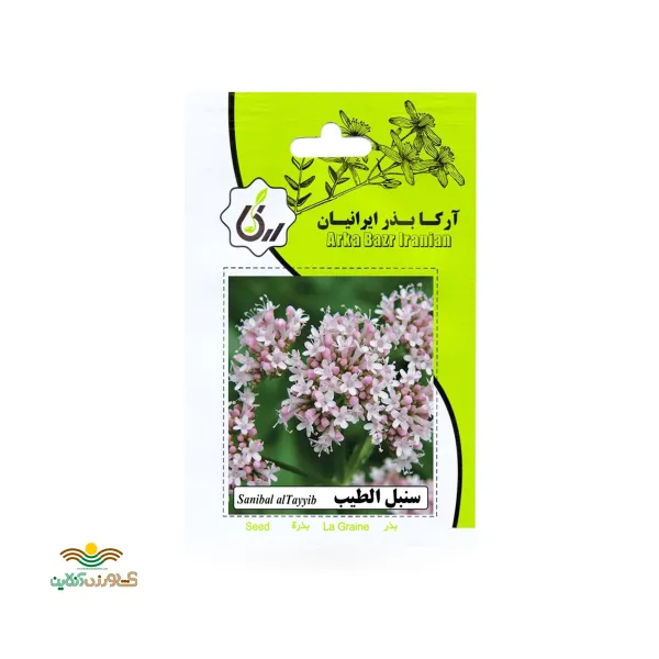 بذر خانگی سنبل الطیب آرکا بذر ایرانیان