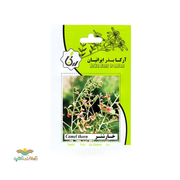 بذر خانگی خارشتر آرکا بذر ایرانیان