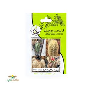بذر خانگی اچینوسرئوس کاکتوس آرکا بذر ایرانیان