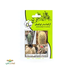 بذر خانگی اچینوسرئوس کاکتوس آرکا بذر ایرانیان
