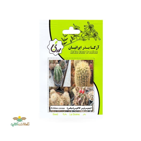 بذر خانگی اچینوسرئوس کاکتوس آرکا بذر ایرانیان