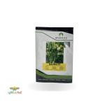 بذر خیار گلخانه ای هلیوم خودتنظیم 1000 عددی 0