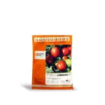 بذر گوجه فرنگی زودرس لورنزو اسپانیا 0