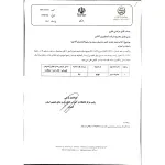 بذر هندوانه سینور 100 گرمی 2
