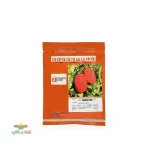 بذر گوجه مارول اسپانیا 0