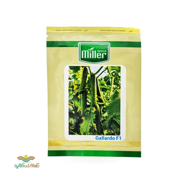 بذر خیار گلخانه ای پرگل گالاردو