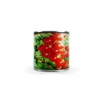 بذر گوجه چری گیلاسی فضای باز کنیون ایتالیا 0