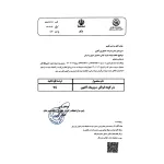 بذر گوجه سوپرچف کانیون 200 گرمی 2