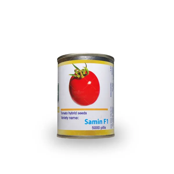 بذر گوجه فرنگی ثمین مشابه گوجه سانسید ۶١٨٩