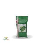بذر اسفناج  رویال هیبرید اف یک ویکیما دانمارک 0