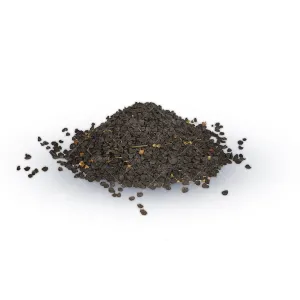 بذر  پیازچه