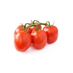 بذر گوجه زیتونی قرمز خانگی 0