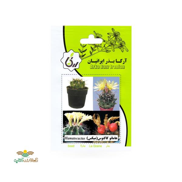 بذر خانگی کاکتوس هاماتو آرکا بذر ایرانیان