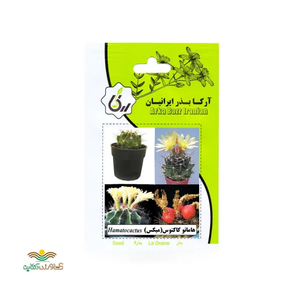 بذر خانگی کاکتوس هاماتو آرکا بذر ایرانیان