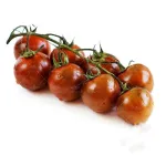 بذر گوجه فرنگی چری شکلاتی بلک چری درختی گیلاسی وانیا و پویاسید 0