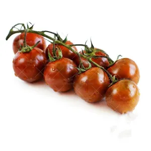 بذر گوجه فرنگی چری شکلاتی بلک چری درختی گیلاسی وانیا و پویاسید