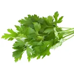 بذر سبزی جعفری 0
