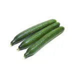 بذر خیار درختی رسمی وانیا 0