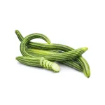 بذر خیار چنبر خانگی 0