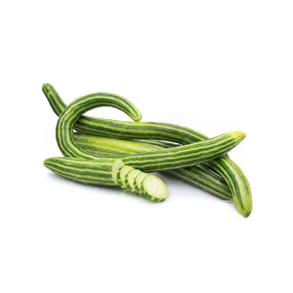 بذر خیار چنبر خانگی