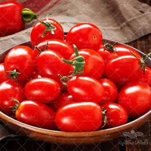 بذر گوجه لئوناردو خانگی 100 عددی