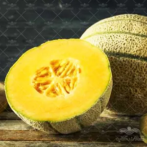 بذر خربزه ملون راک استار