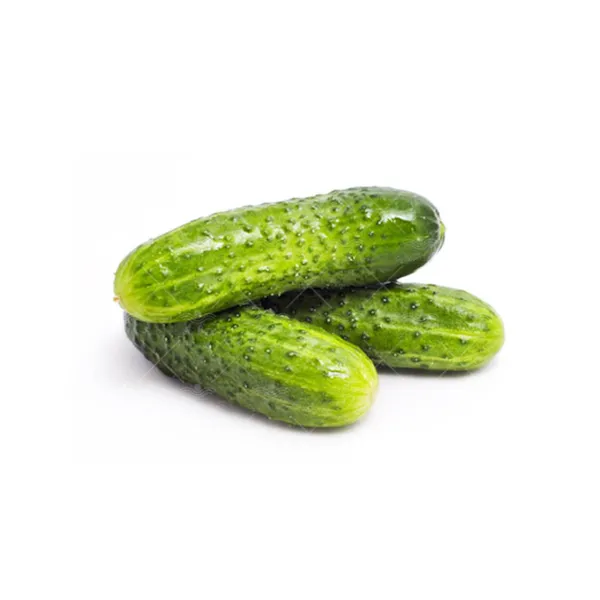بذر خیار خاردار درختی خانگی
