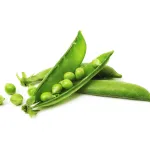 بذر نخود فرنگی خانگی 0