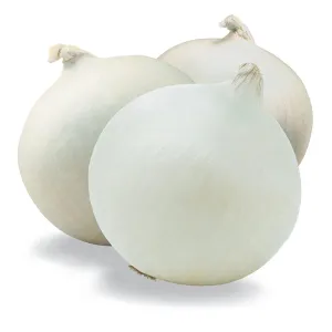 بذر پیاز سفید خانگی