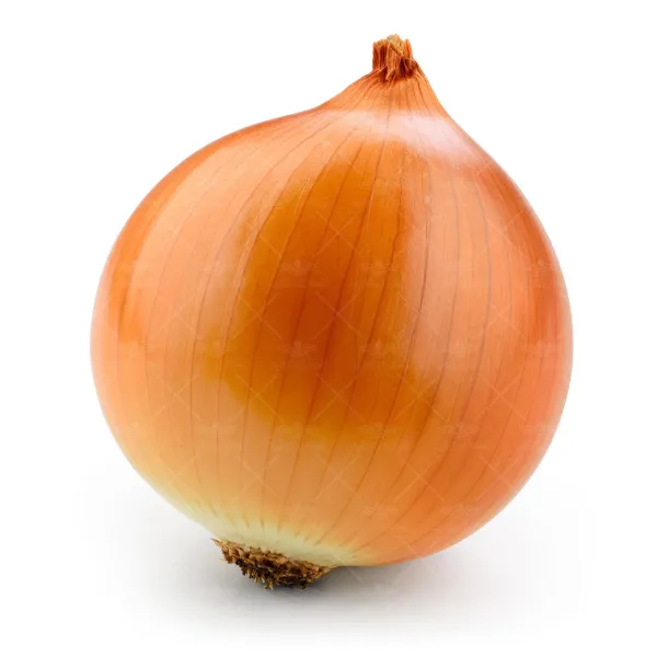 بذر پیاز زرد خانگی