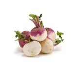 بذر شلغم دورنگ خانگی کیان بذر 0
