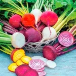 بذر چغندر رنگی وانیاسید 0