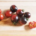 بذر خانگی گوجه چری ارغوانی درختی وانیاسید 0