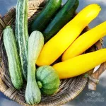 بذر کدو خورشتی میکس روسی وانیاسید 0