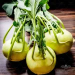 بذر کلم قمری سبز وانیاسید 0