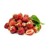 بذر توت فرنگی گاویتا وانیاسید 0