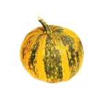 بذر کدو پوست کاغذی 0