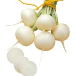 بذر ترب سفید گرد خانگی 0